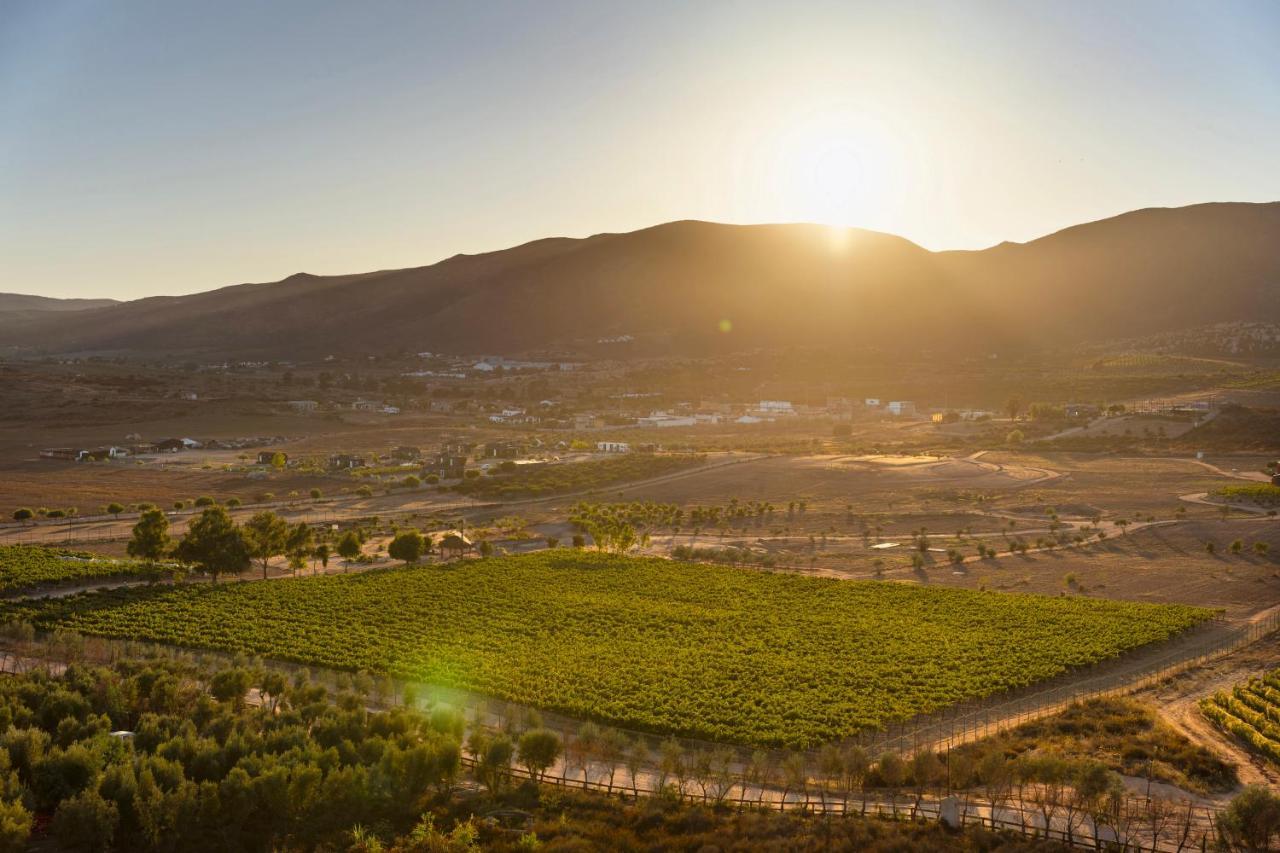 Banyan Tree Veya, Valle De Guadalupe - A Wellbeing & Wine Resort Ngoại thất bức ảnh