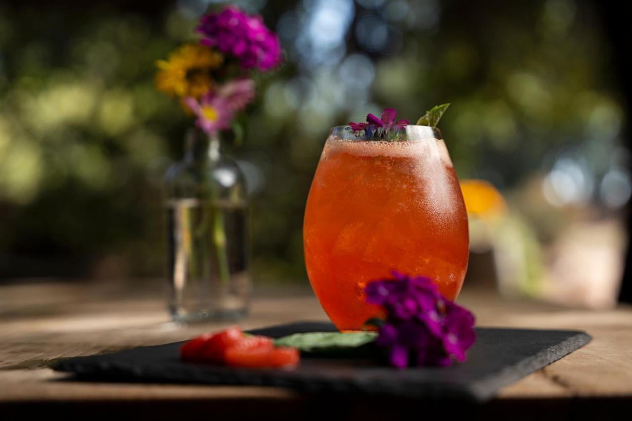 Banyan Tree Veya, Valle De Guadalupe - A Wellbeing & Wine Resort Ngoại thất bức ảnh