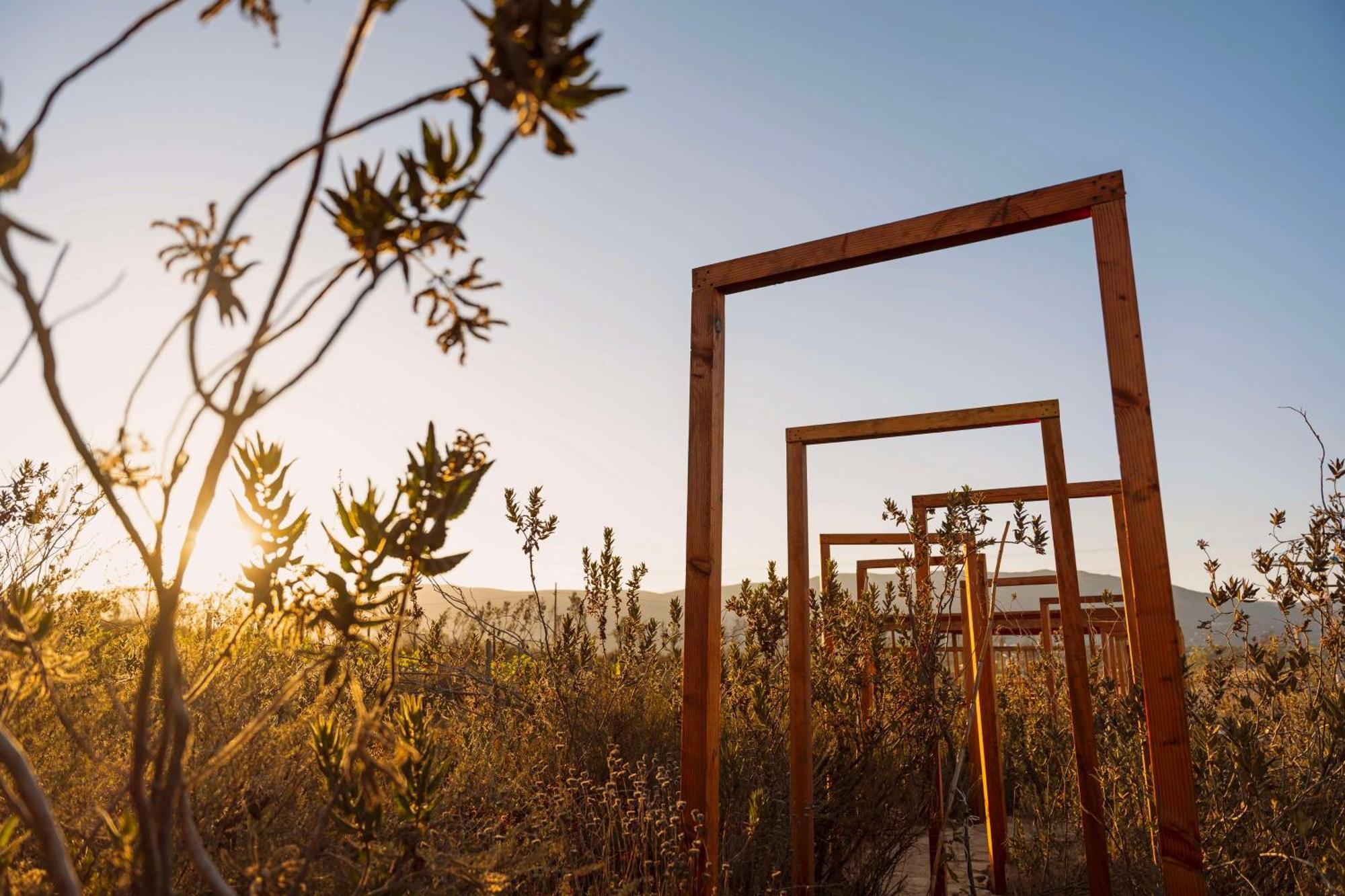 Banyan Tree Veya, Valle De Guadalupe - A Wellbeing & Wine Resort Ngoại thất bức ảnh